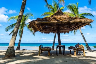 brown wooden beach lounge chairs on beach during daytime