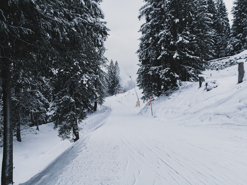 person in red jacket and black pants walking on snow covered ground during daytime