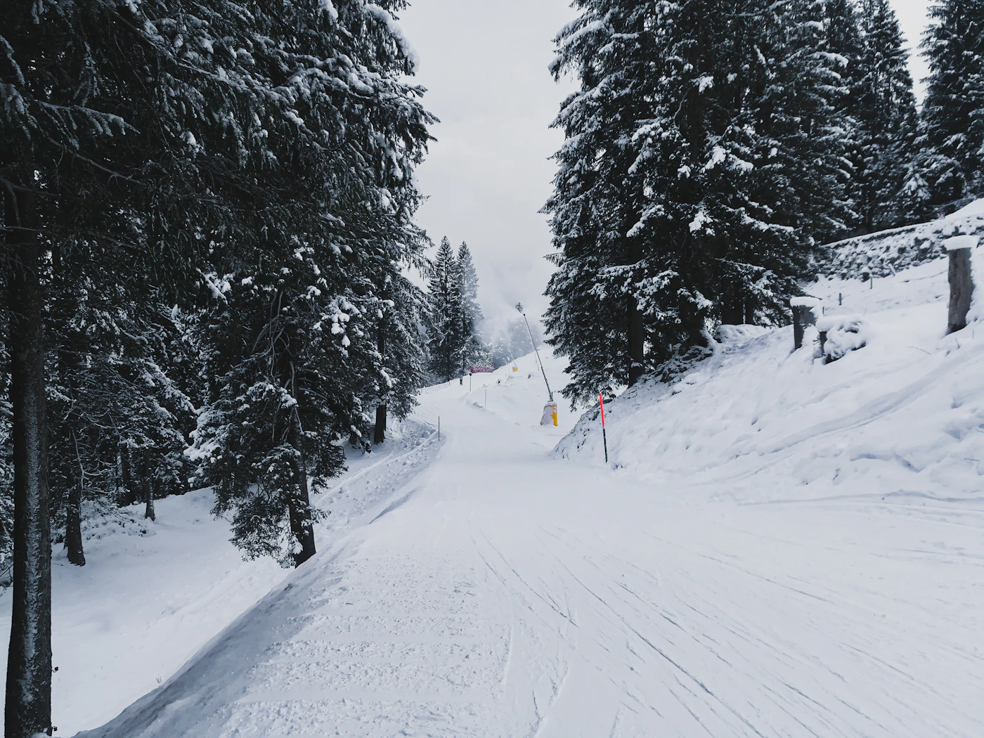 Skier on a snowy, tree-lined trail in the Pocono Mountains in winter