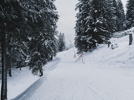 person in red jacket and black pants walking on snow covered ground during daytime in Engelberg Switzerland