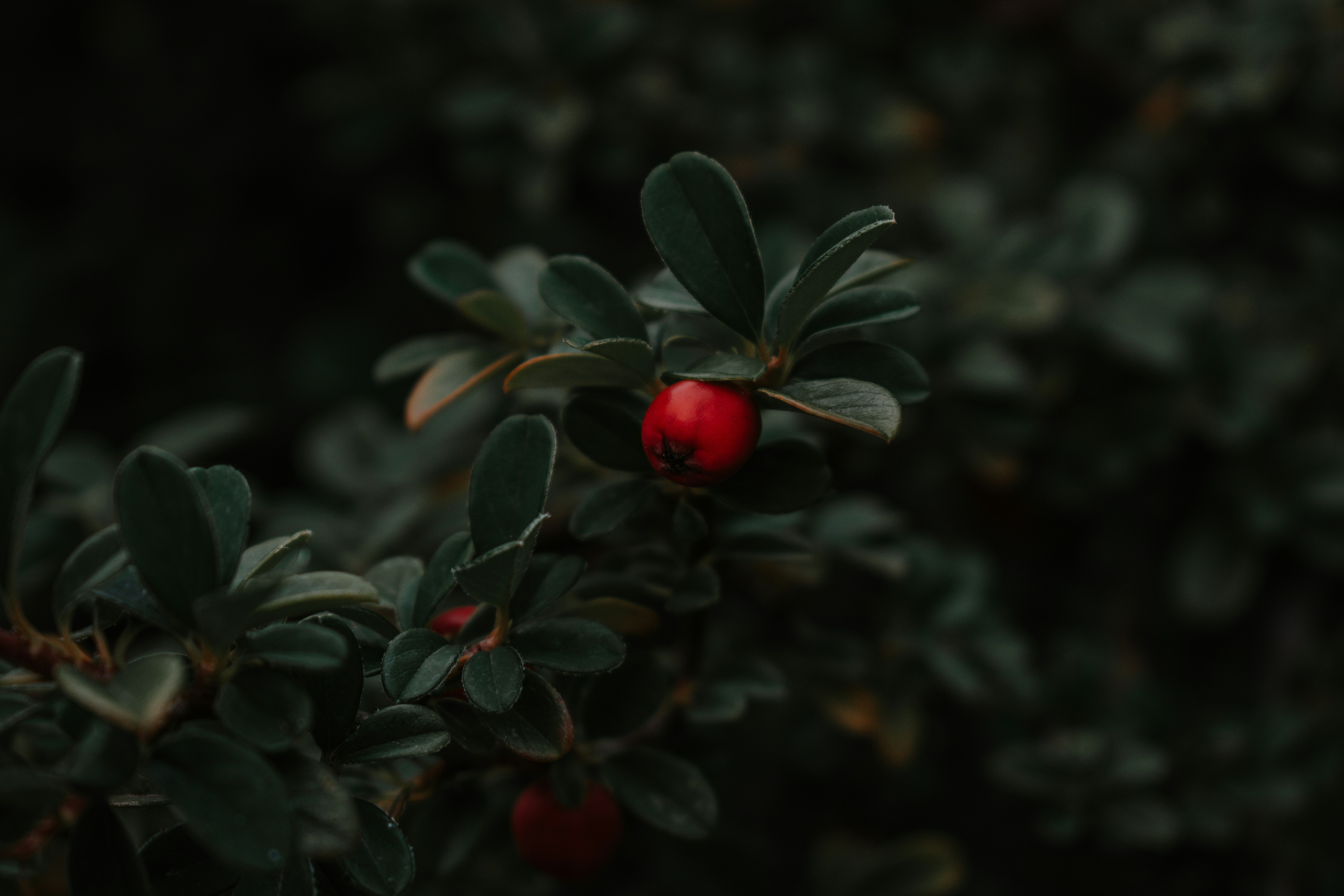 Photo by elirotshots