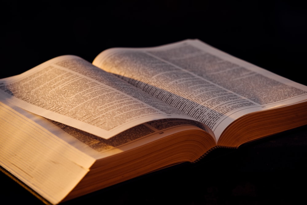 opened book on brown wooden table