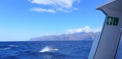 A dolphin is leaping out of the ocean water against a backdrop of distant mountains under a clear blue sky. The right side of the image includes a part of a boat with safety signs.