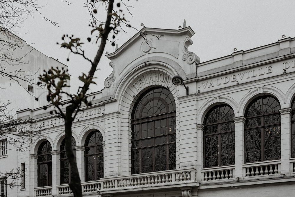 white concrete building with brown tree