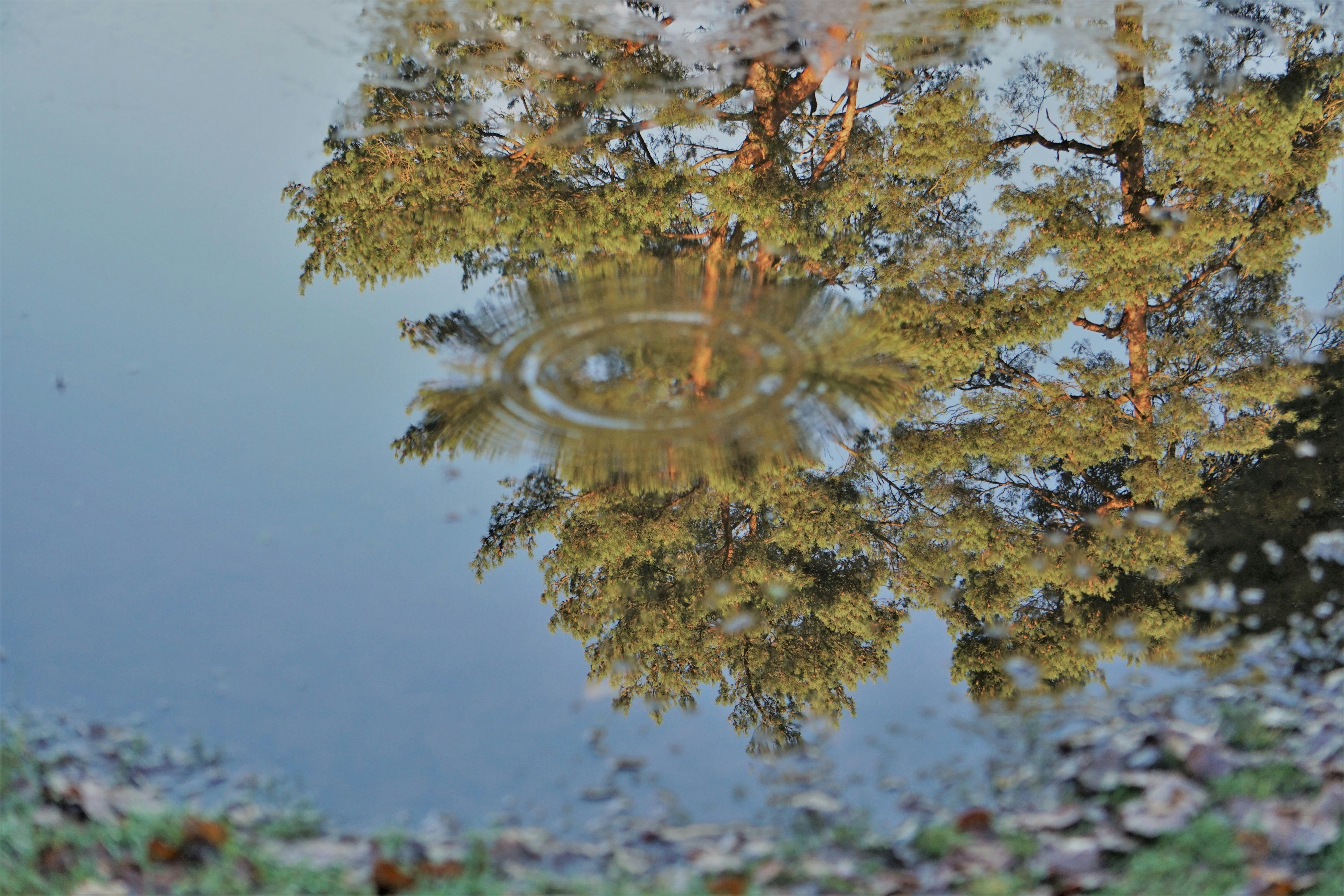 Photo by pretty_and_pure