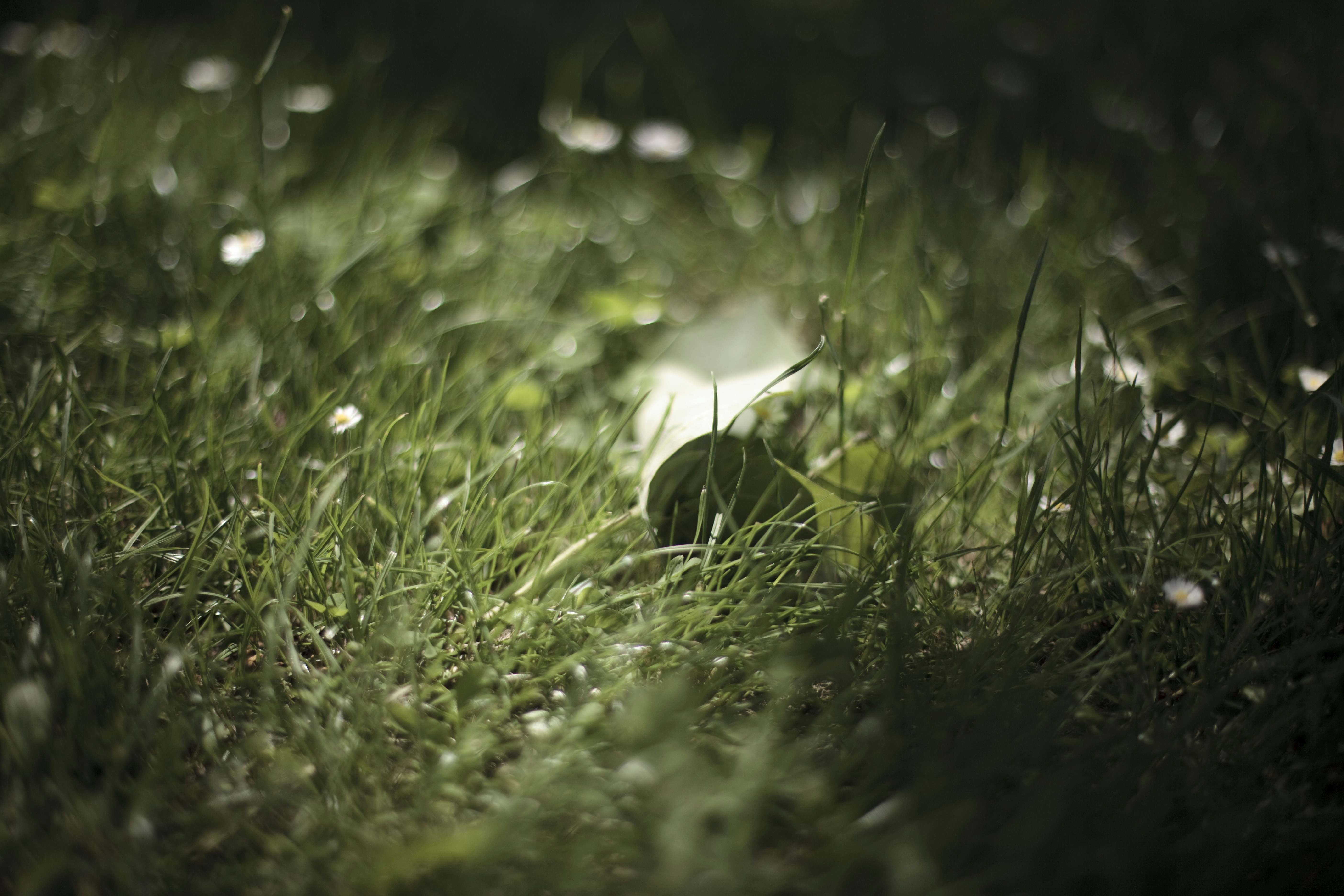 Photo by renolaithienne