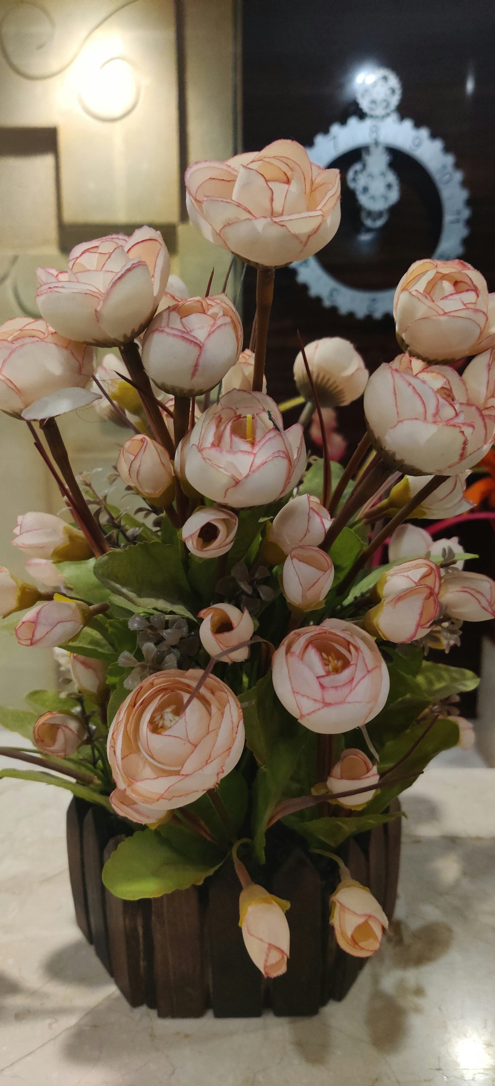 pink and white roses in bloom during daytime