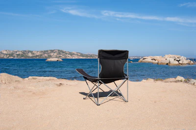 Portable Hammock with Straps