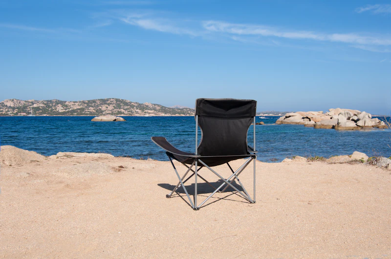 Portable Hammock with Straps
