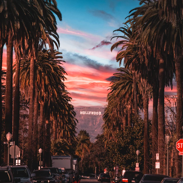 Tall palm trees lining a Southern California street at sunset