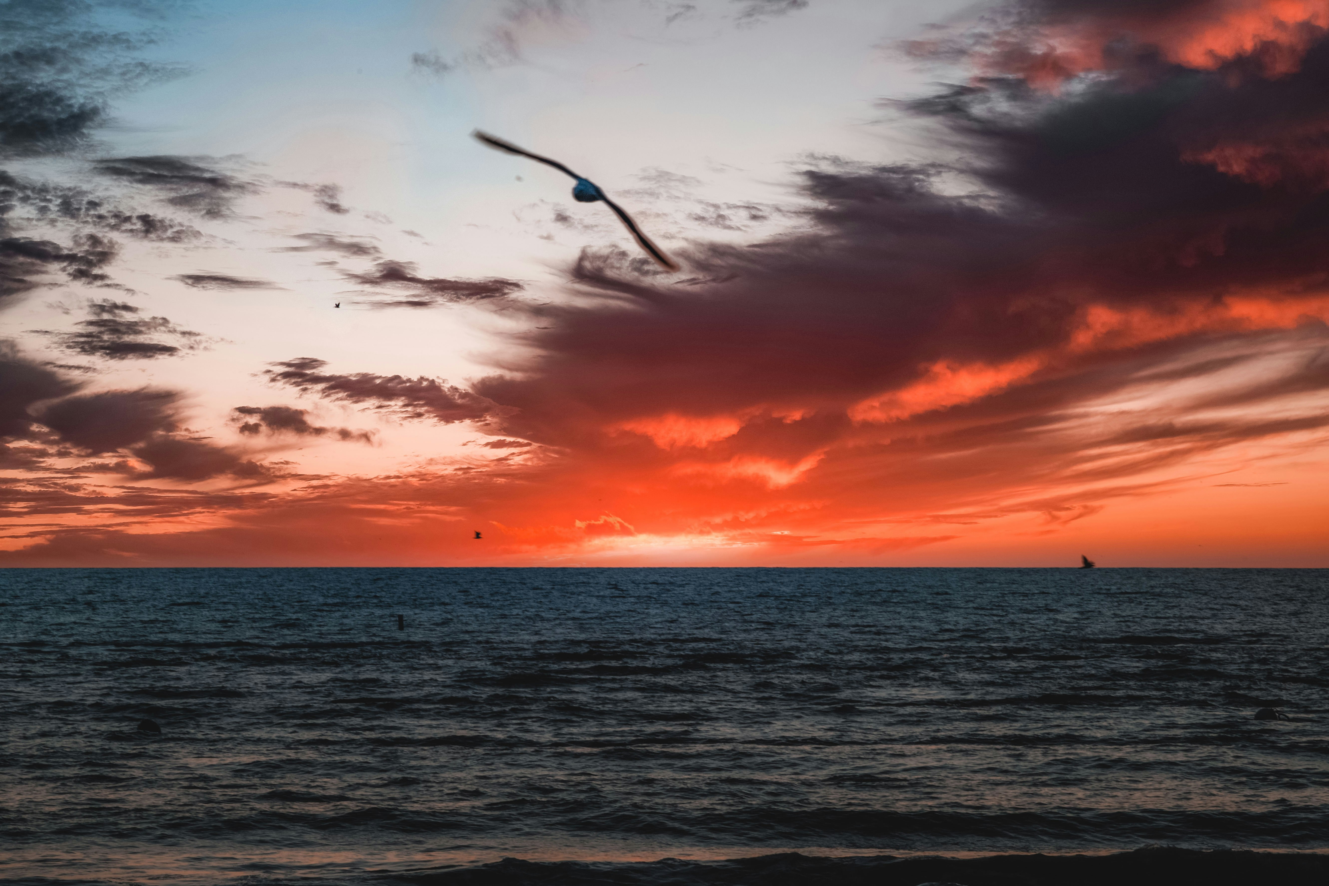 Photo by jakeblucker