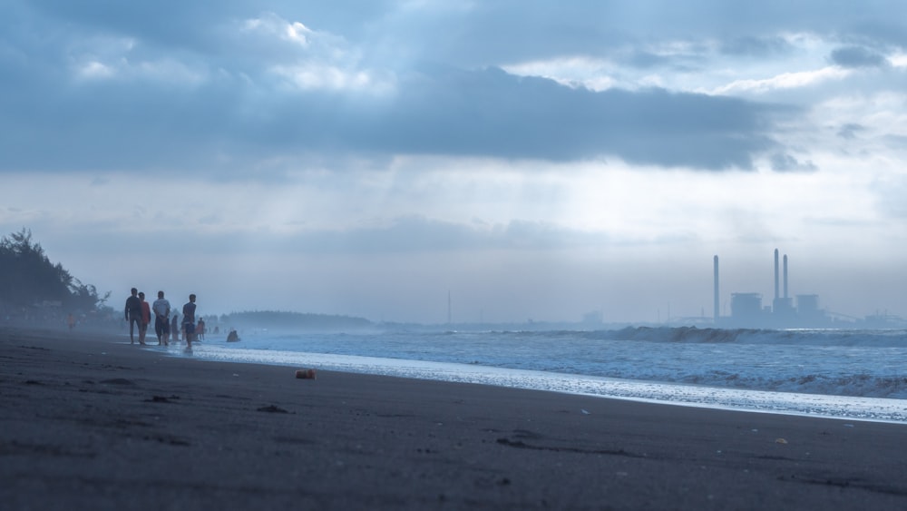 people on beach during daytime