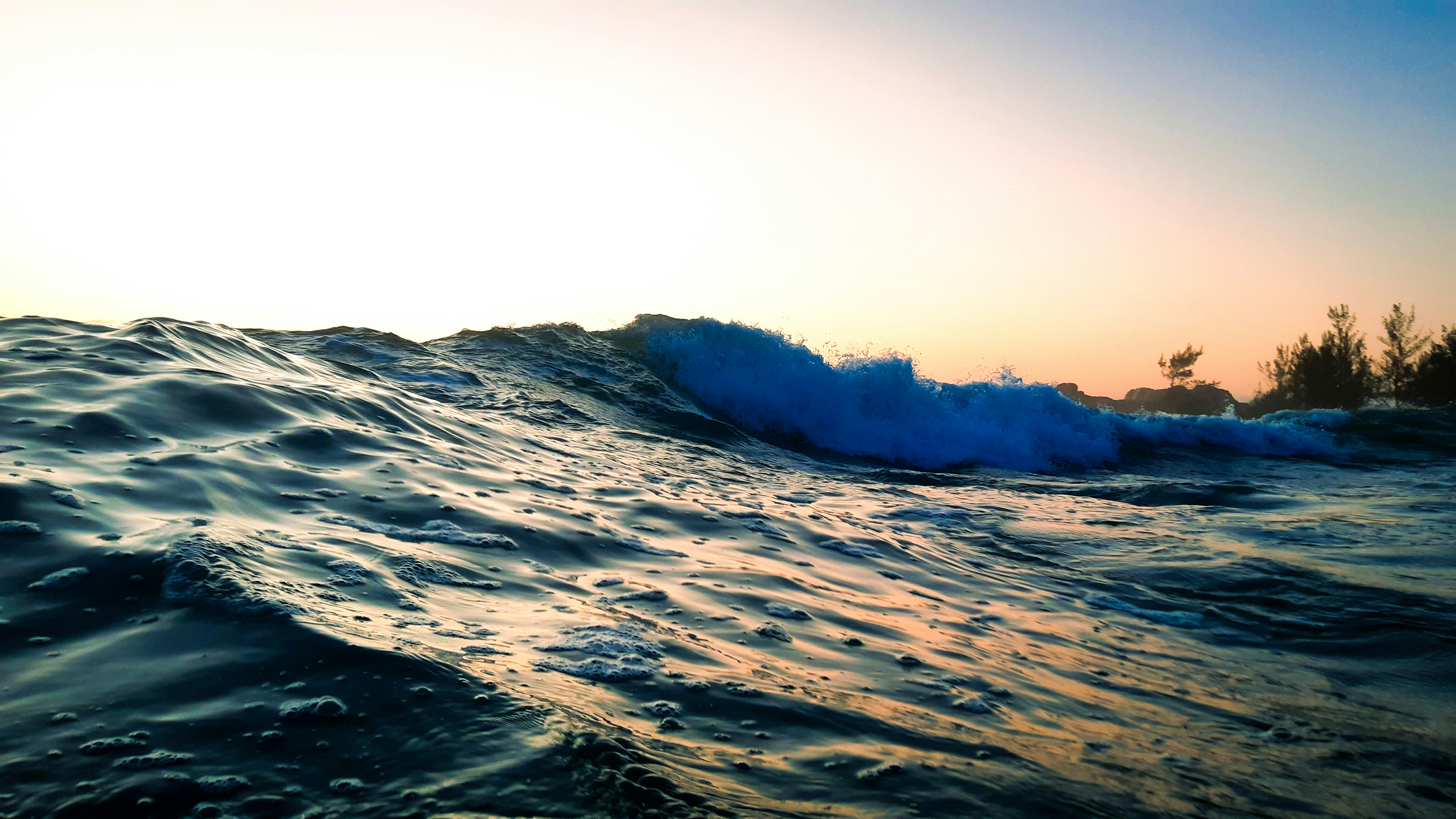 Photo by jackmushroom