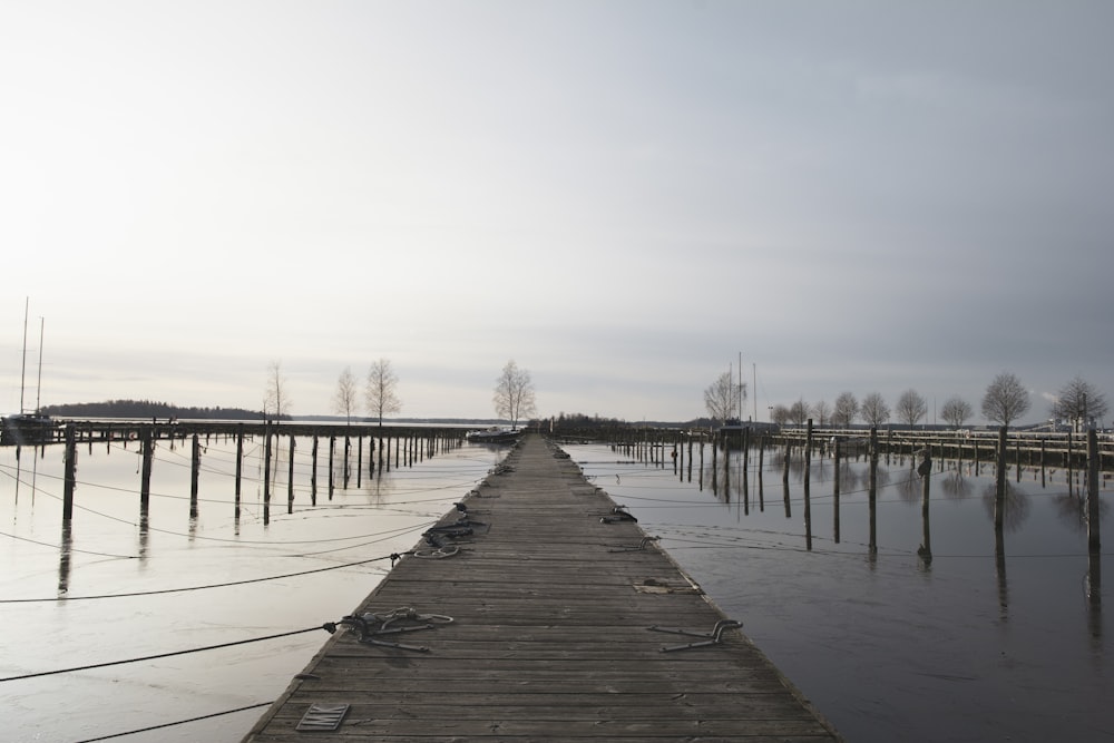 brown wooden dock on sea during daytime