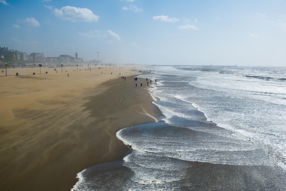 people on beach during daytime