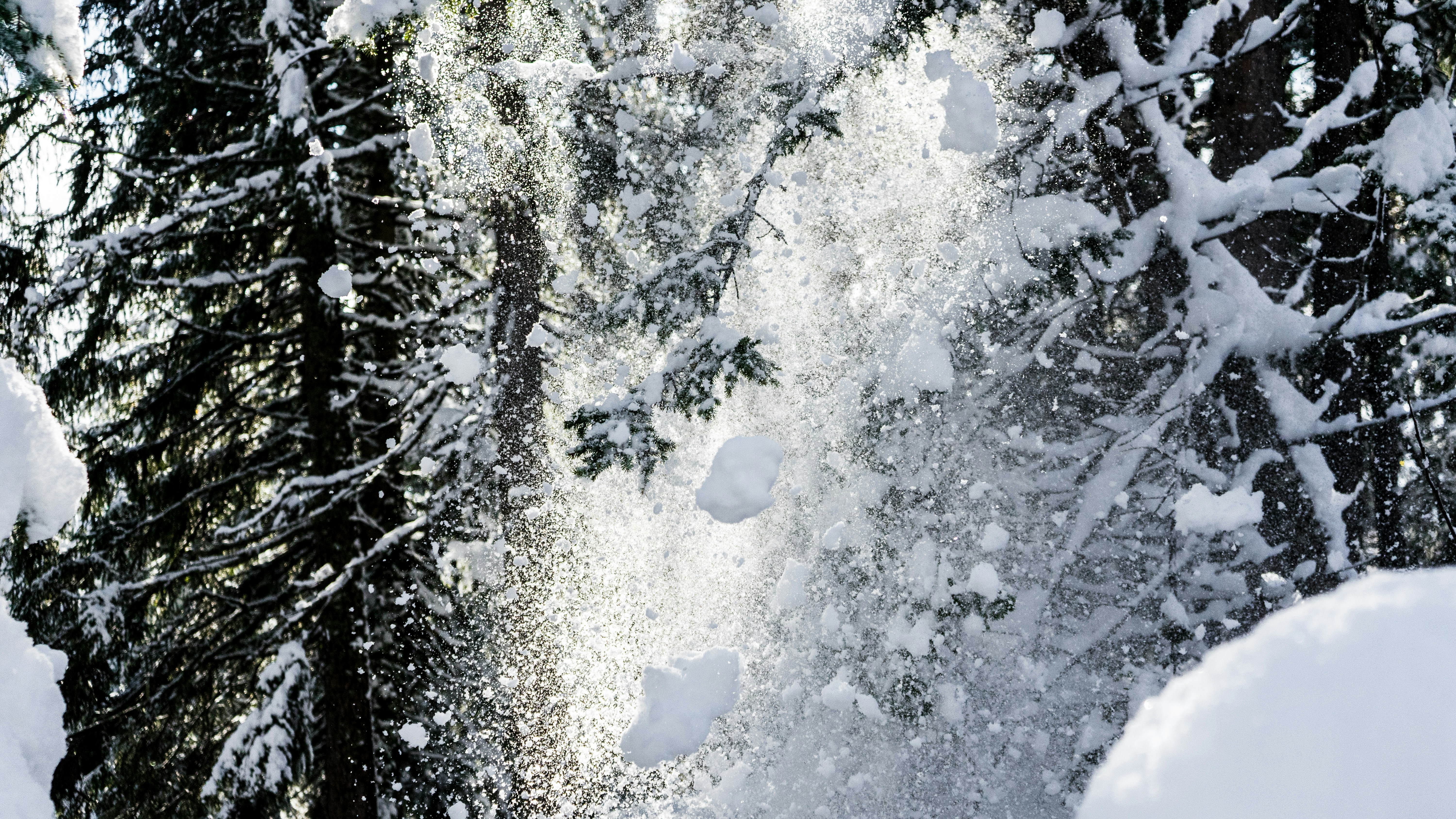 Photo by virussinside