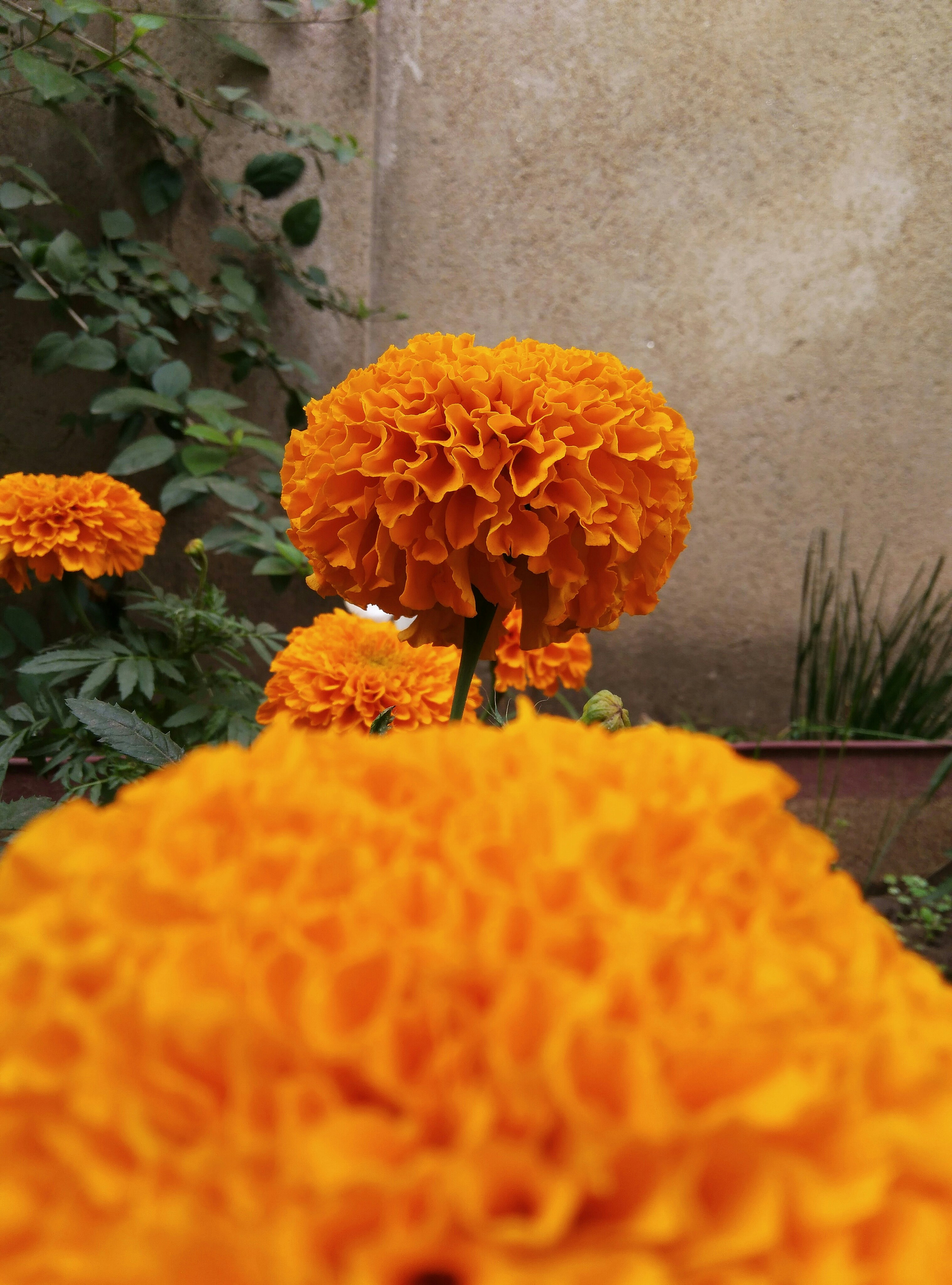 Photo by shank_novice