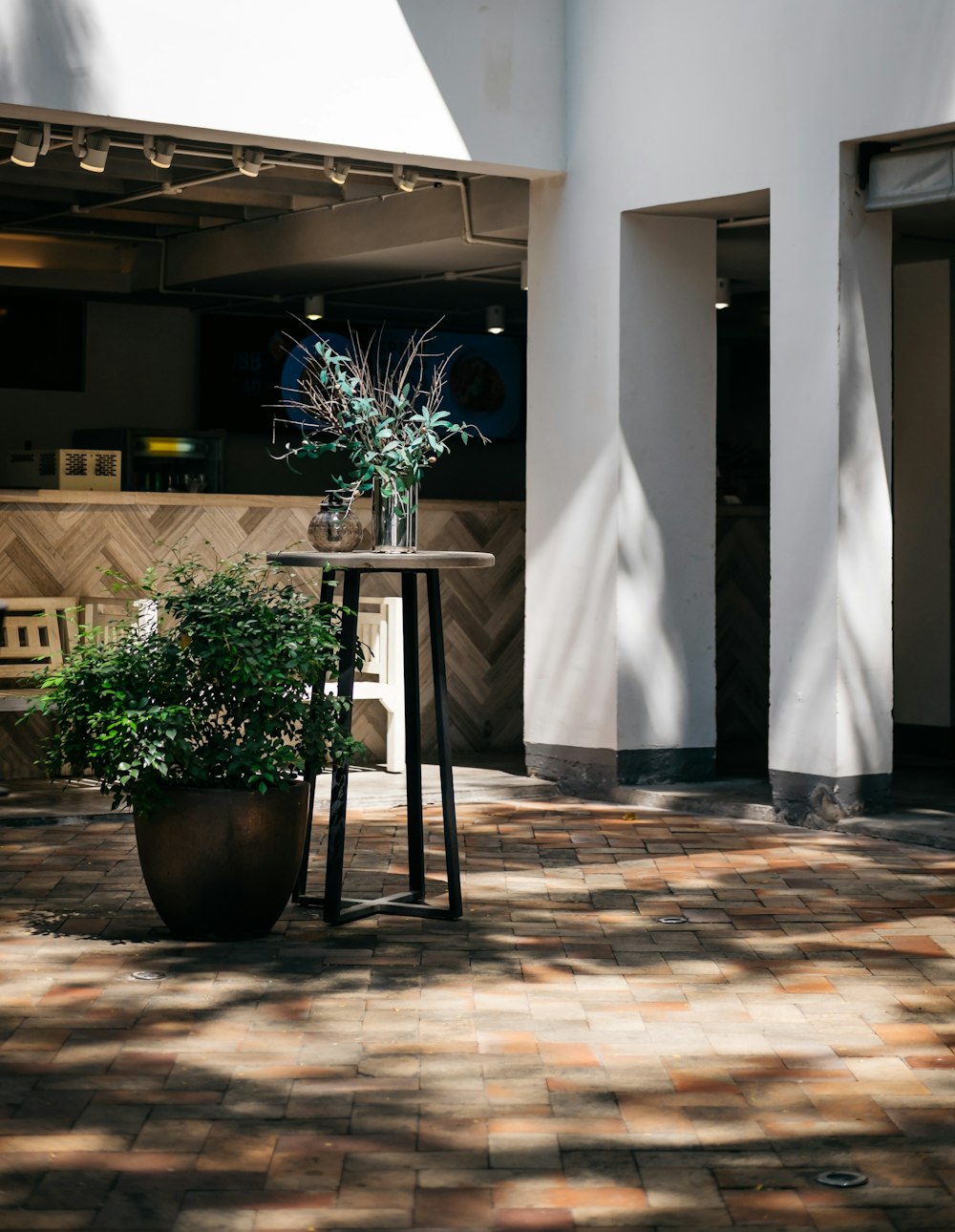 green potted plant on brown wooden table