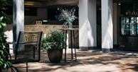 A cozy cafe setting with sunlight streaming through, highlighting a small round table with decorative branches in a vase. Potted plants add greenery to the paved floor area. The interior features modern decor with a patterned herringbone wood panel behind the counter.