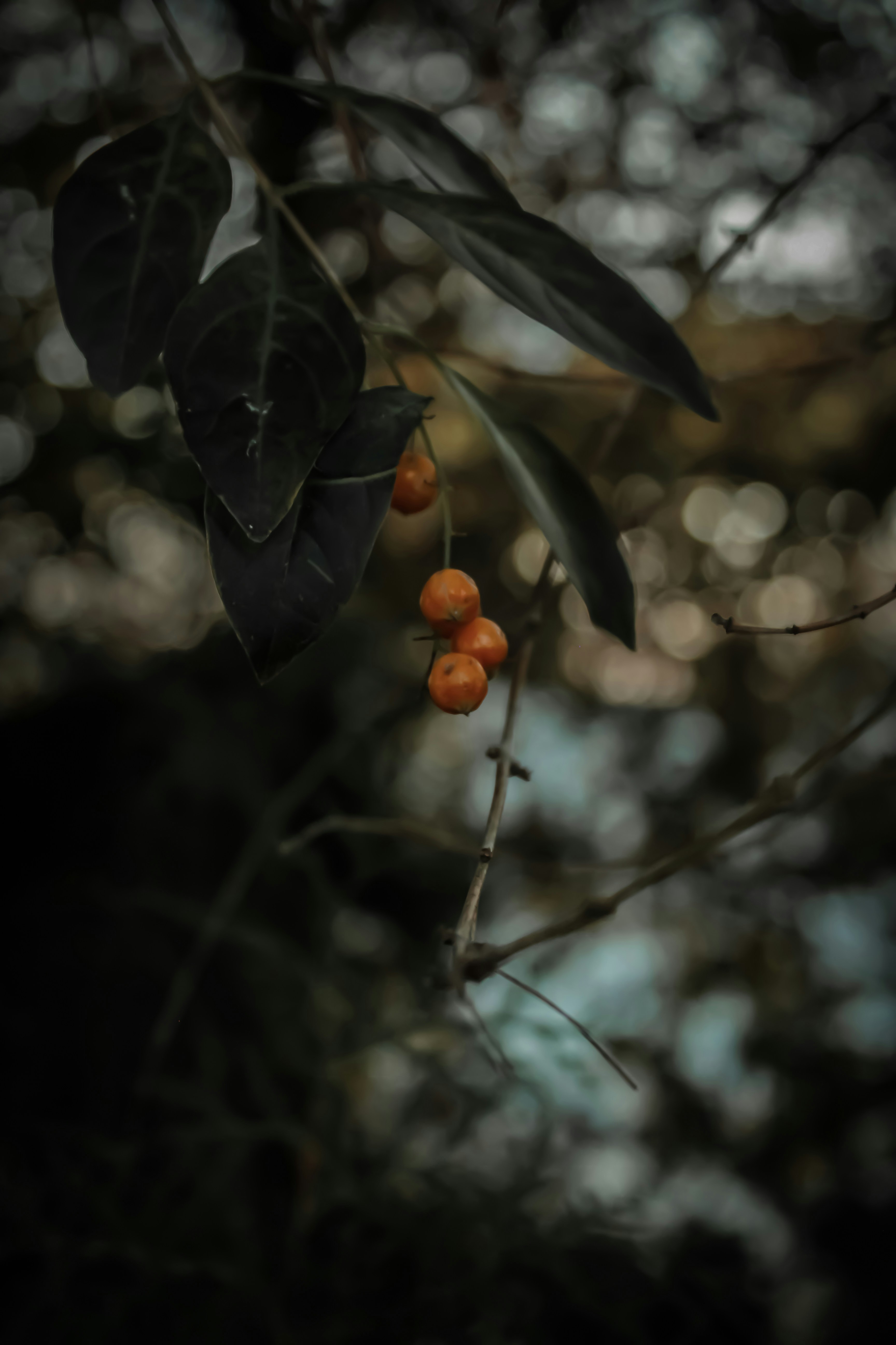 Photo by kamil_mehmood777