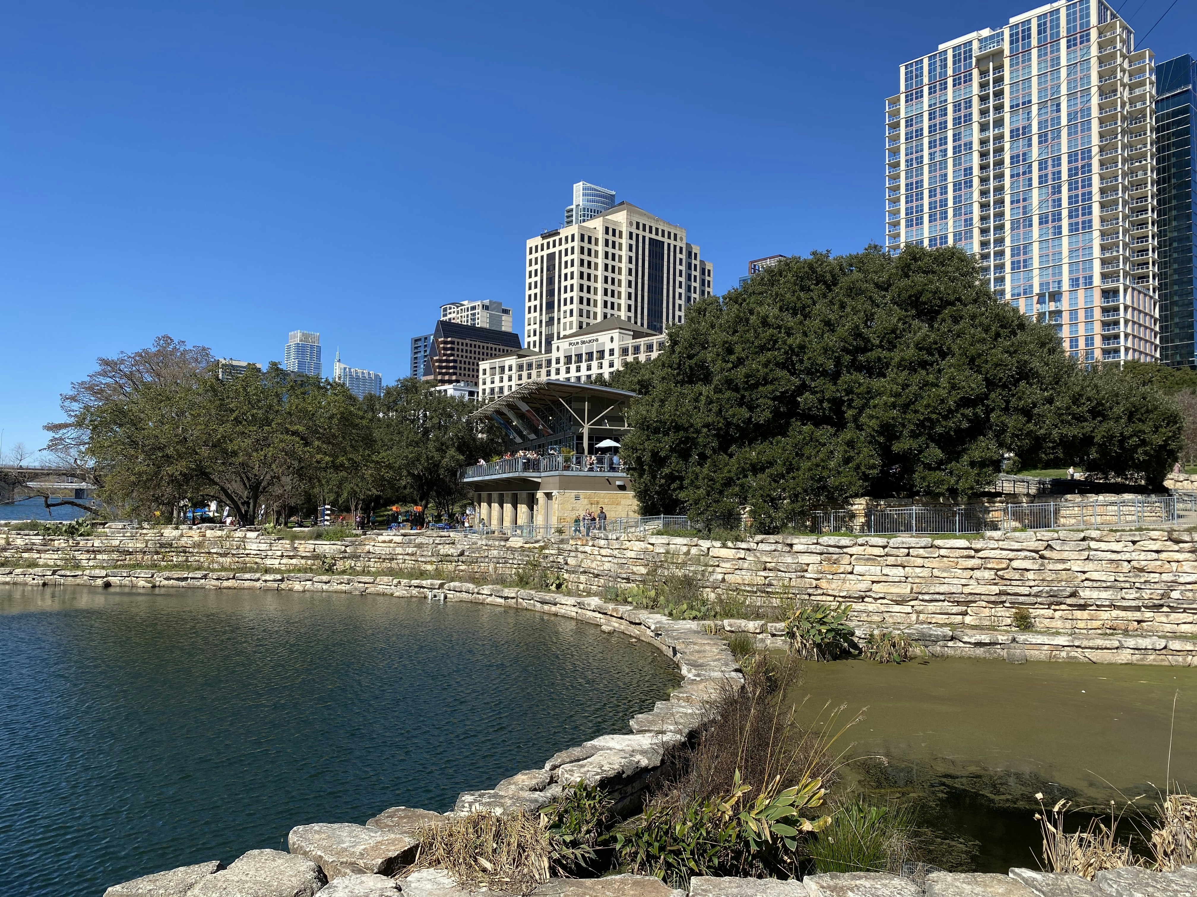 green trees near body of water during daytime