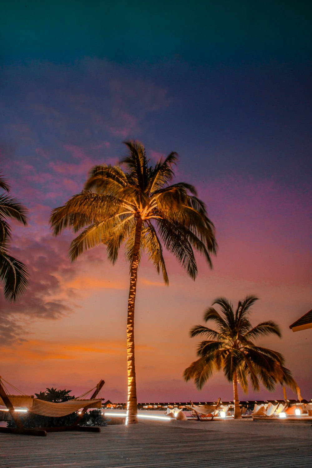 Palme unter blauem Himmel bei Sonnenuntergang