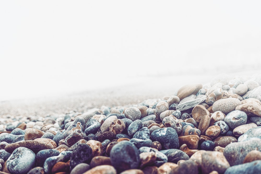 brown and gray pebbles on beach shore during daytime