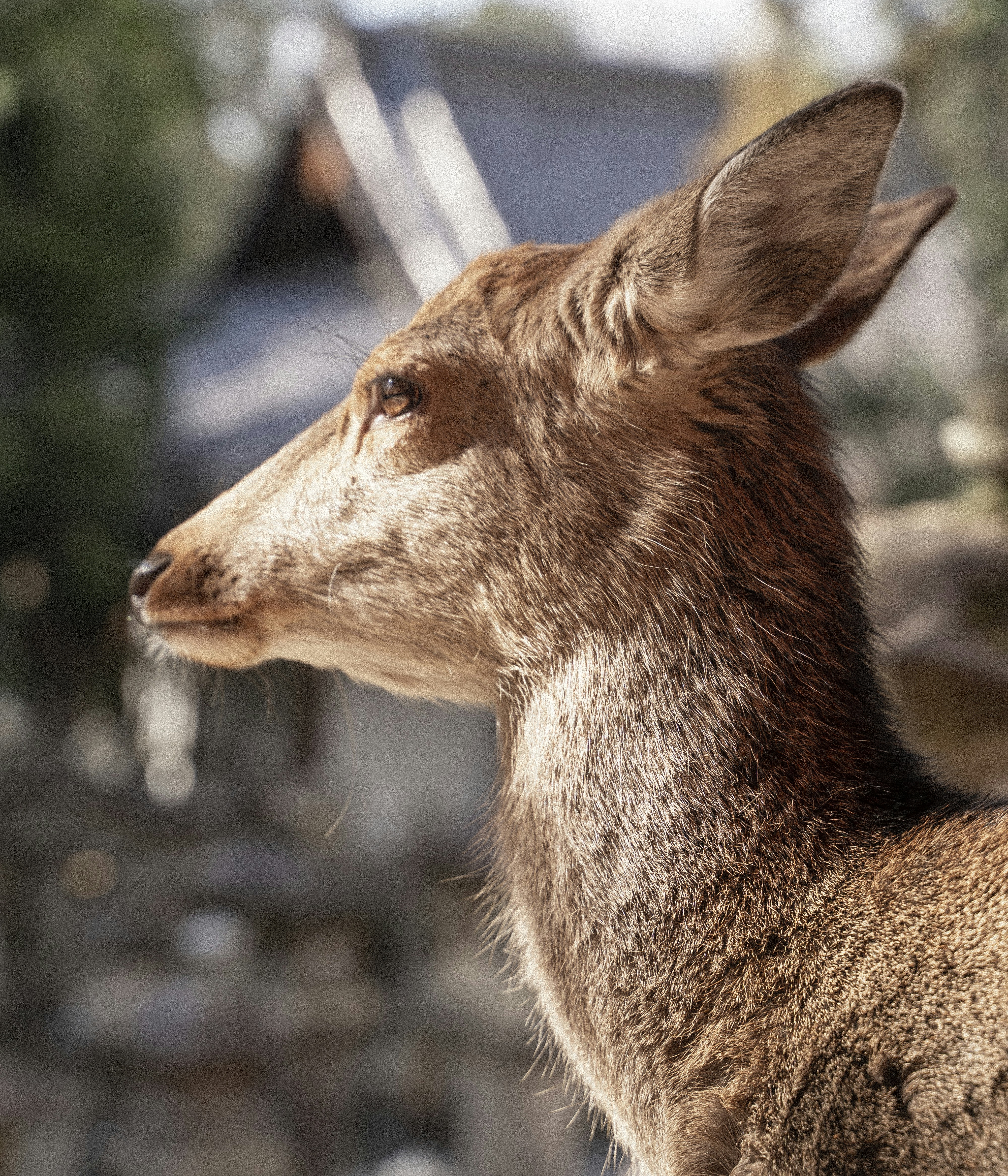 Photo by alexander_tsang