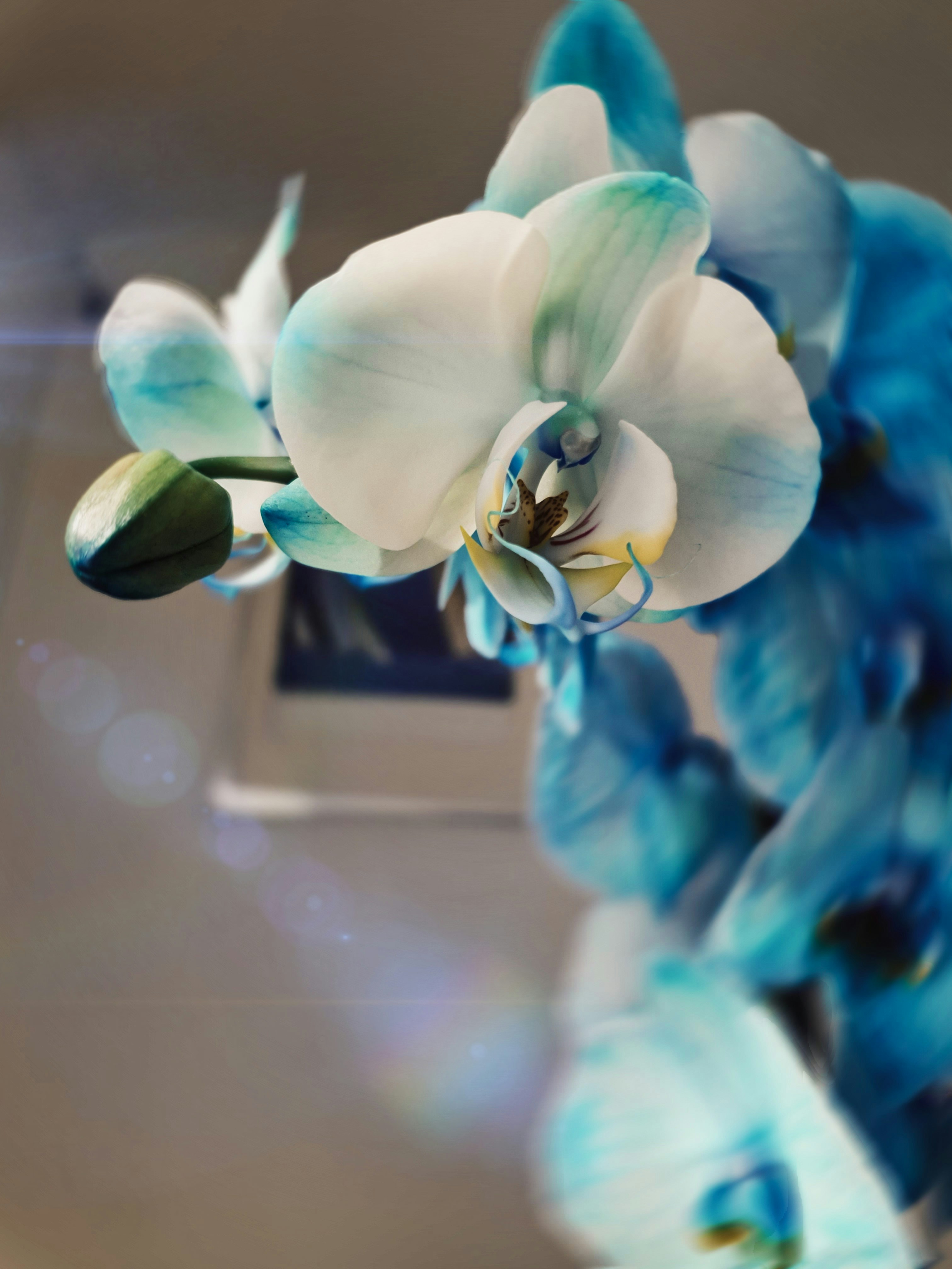 Photo by magdalena99