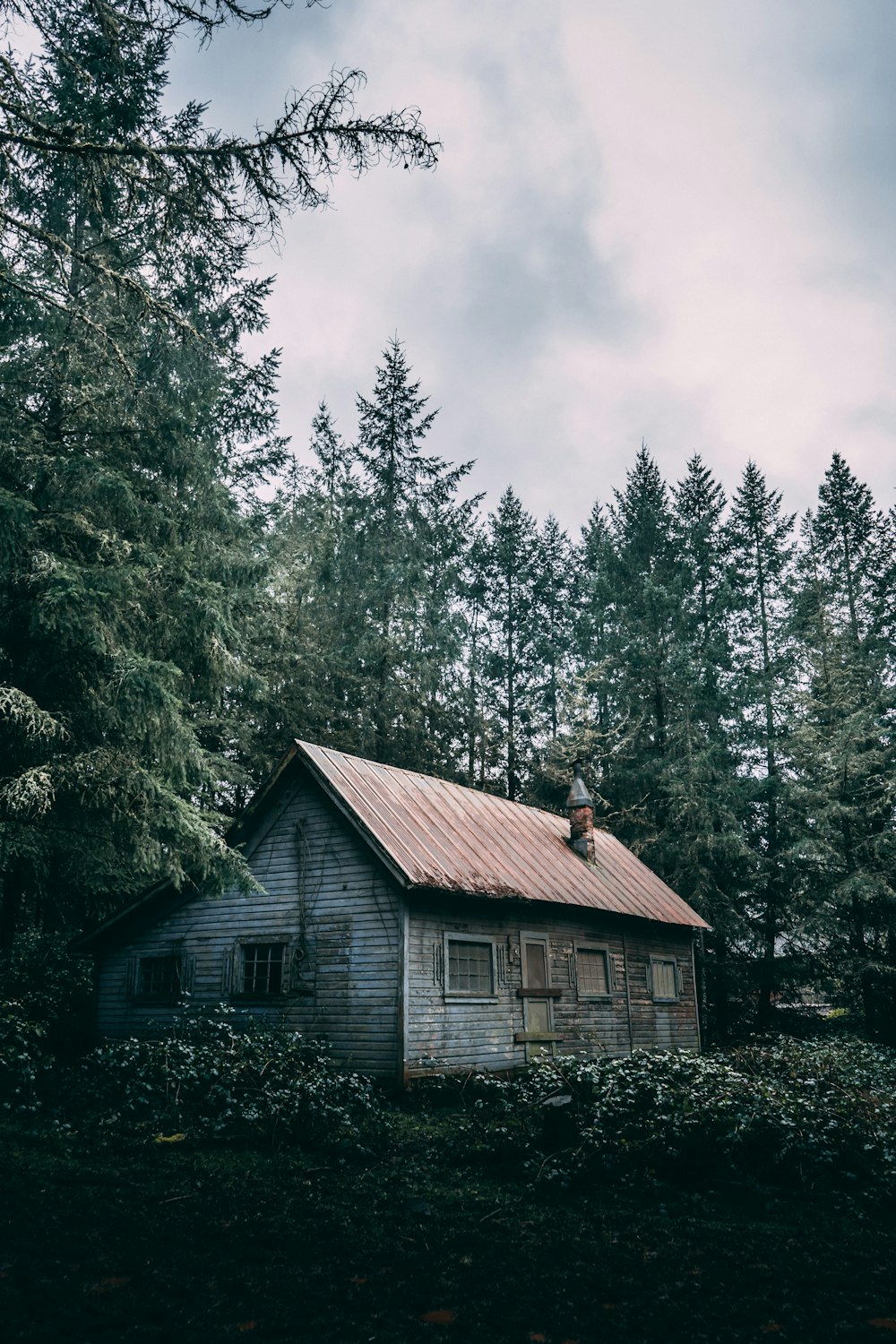 Casa de madera marrón en medio del bosque