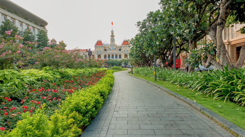 Tranquility Amidst Bustle Finding Solace in City Parks