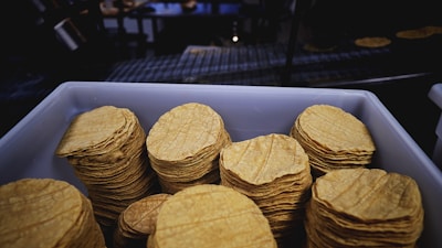 brown round biscuits on blue tray