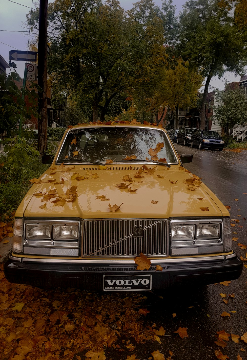 yellow car on the road