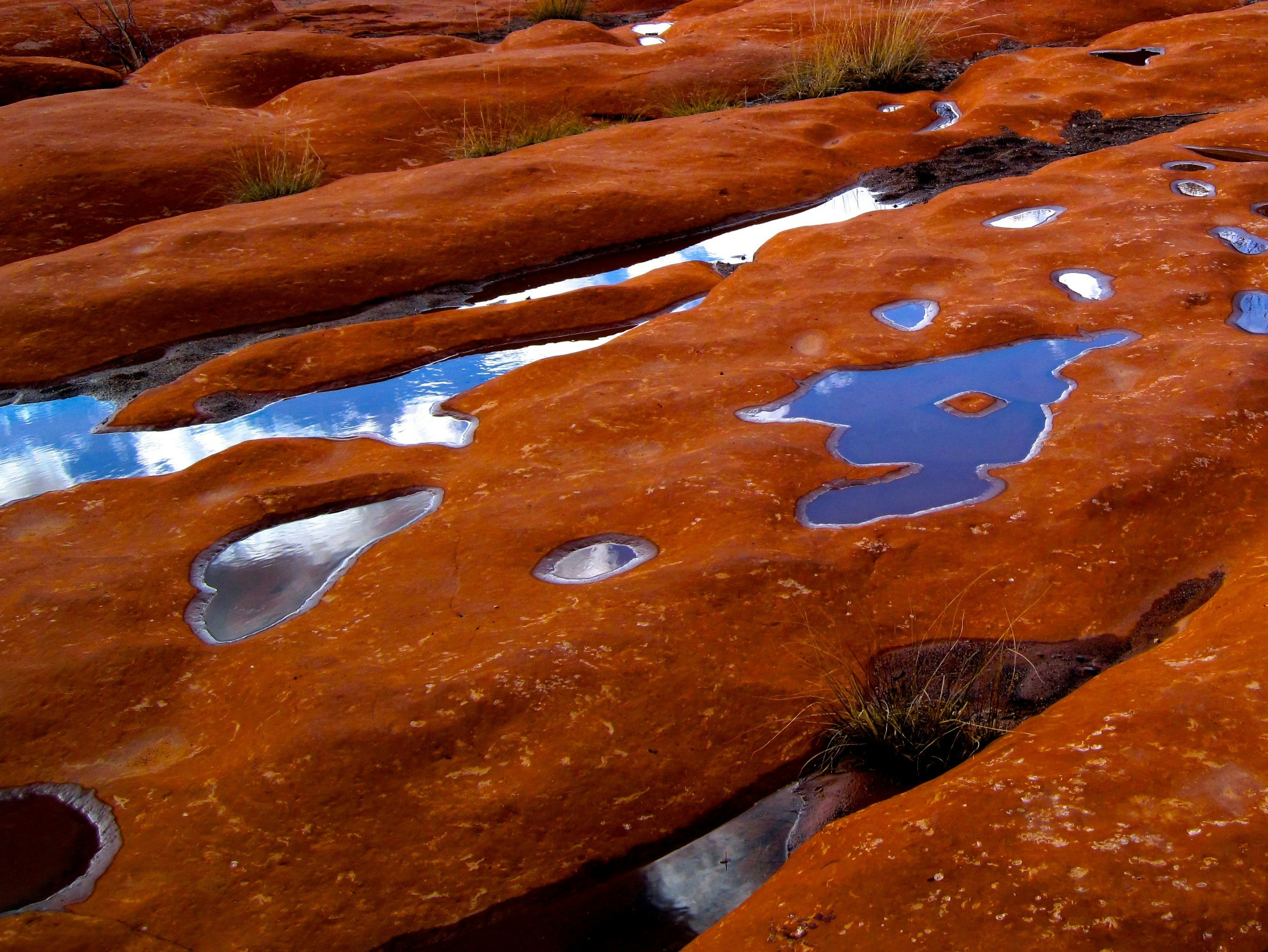 Photo by palmspringsdon