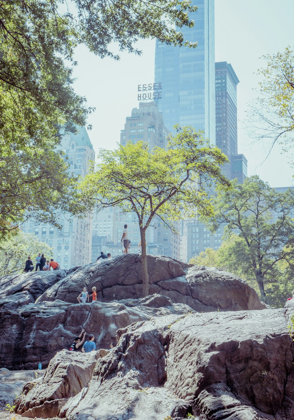 people sitting on rock formation near green trees during daytime
