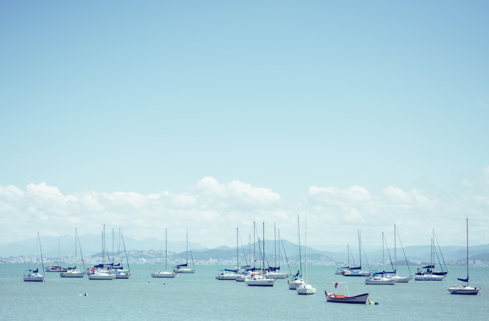 white sail boats on sea under blue sky during daytime