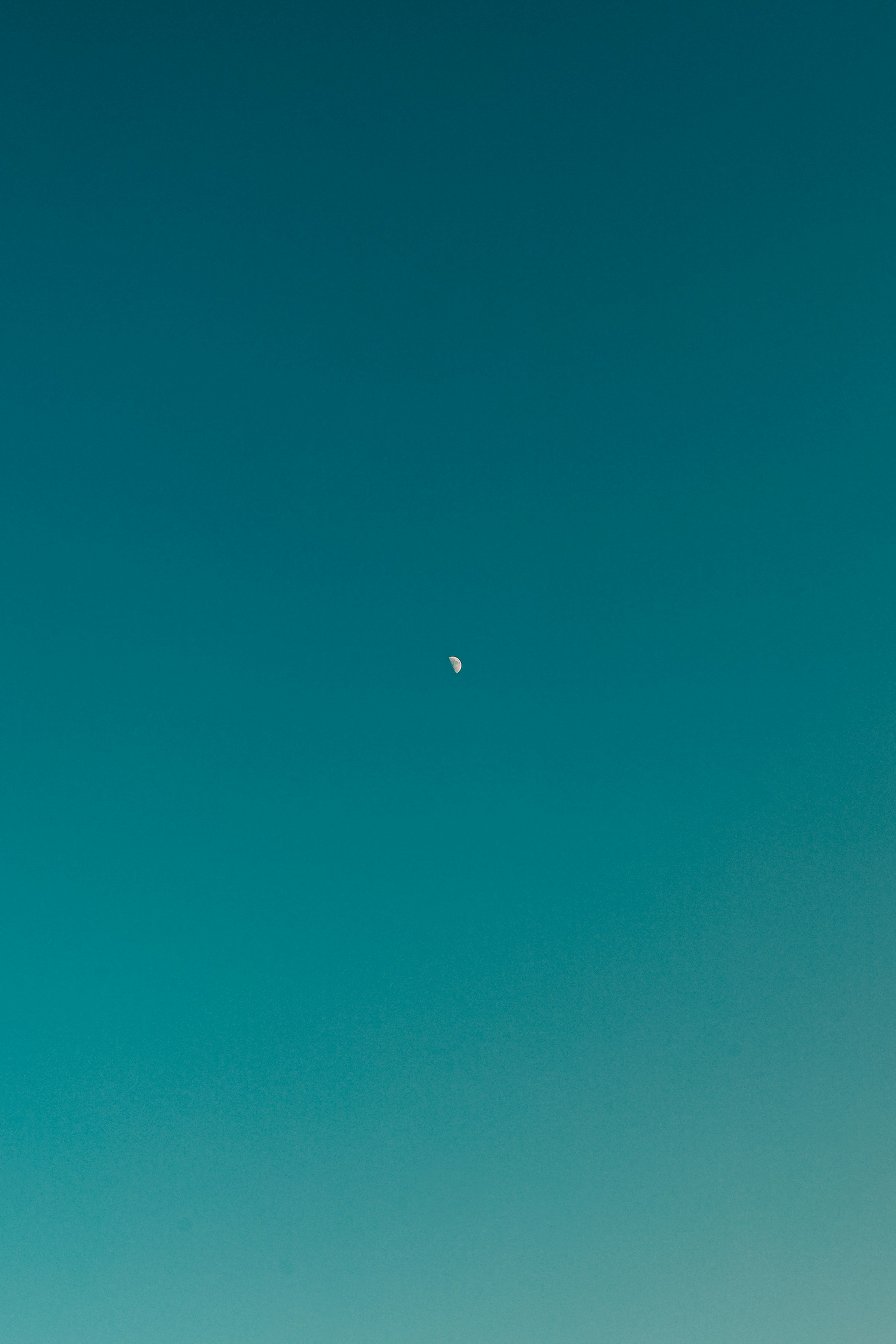 Photo by 3tnik