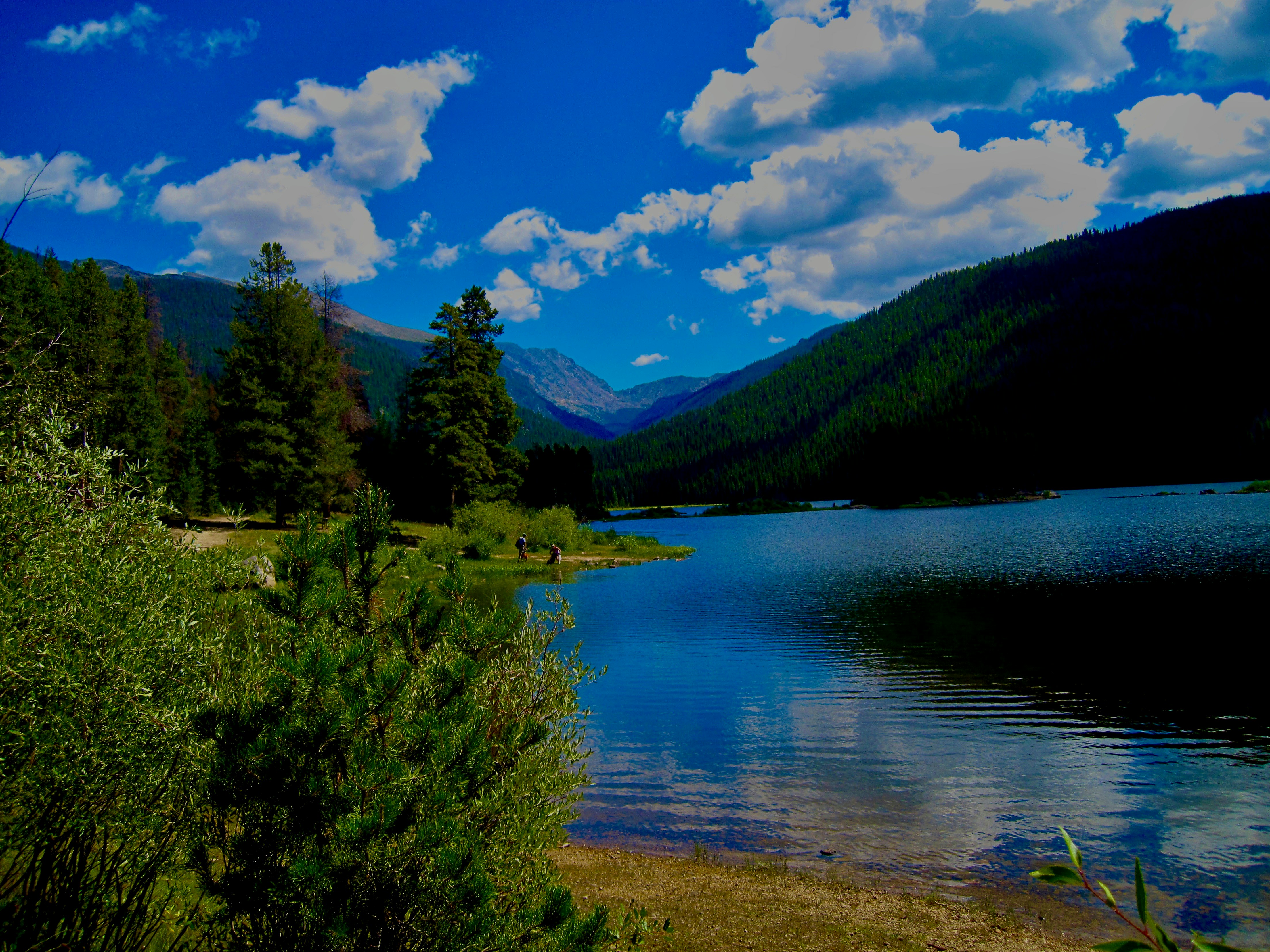 Green trees near lake under blue sky and white clouds during daytime ...