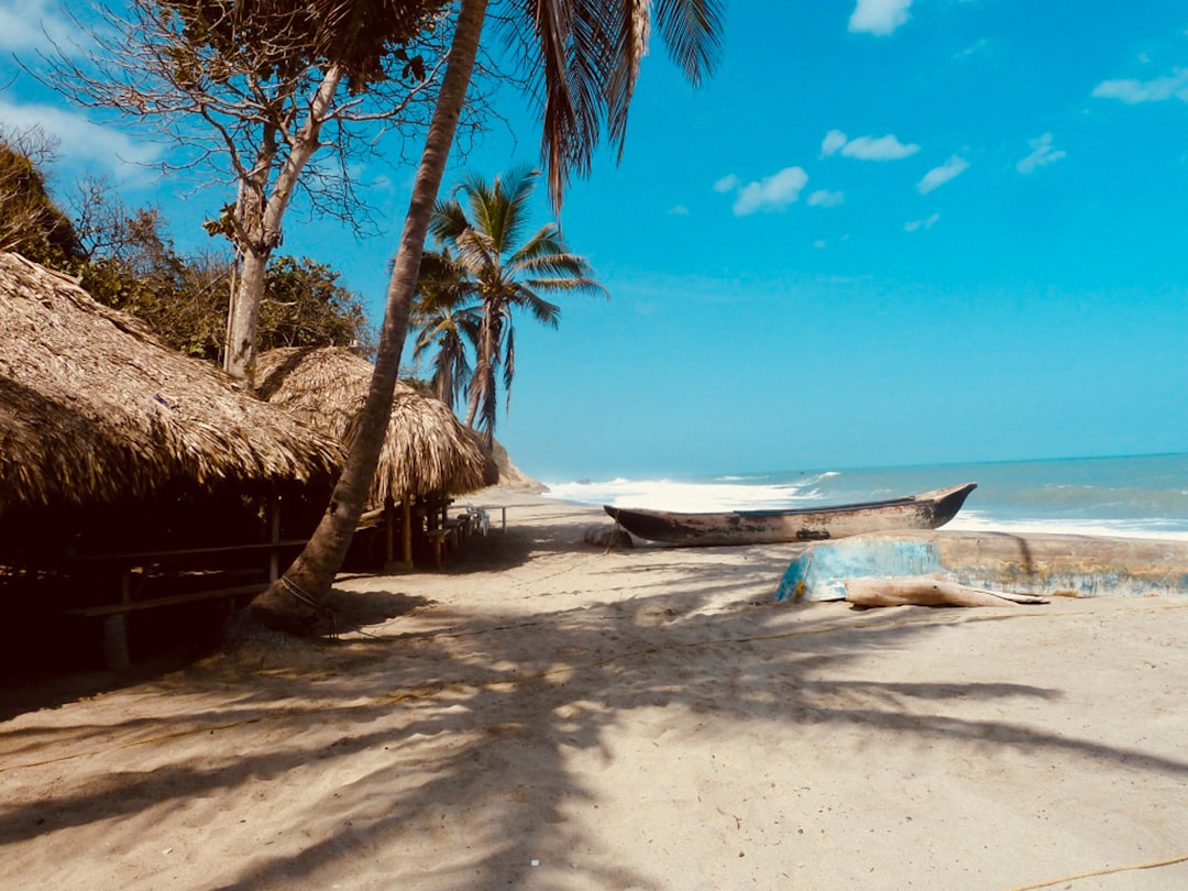 white and blue boat on beach during daytime