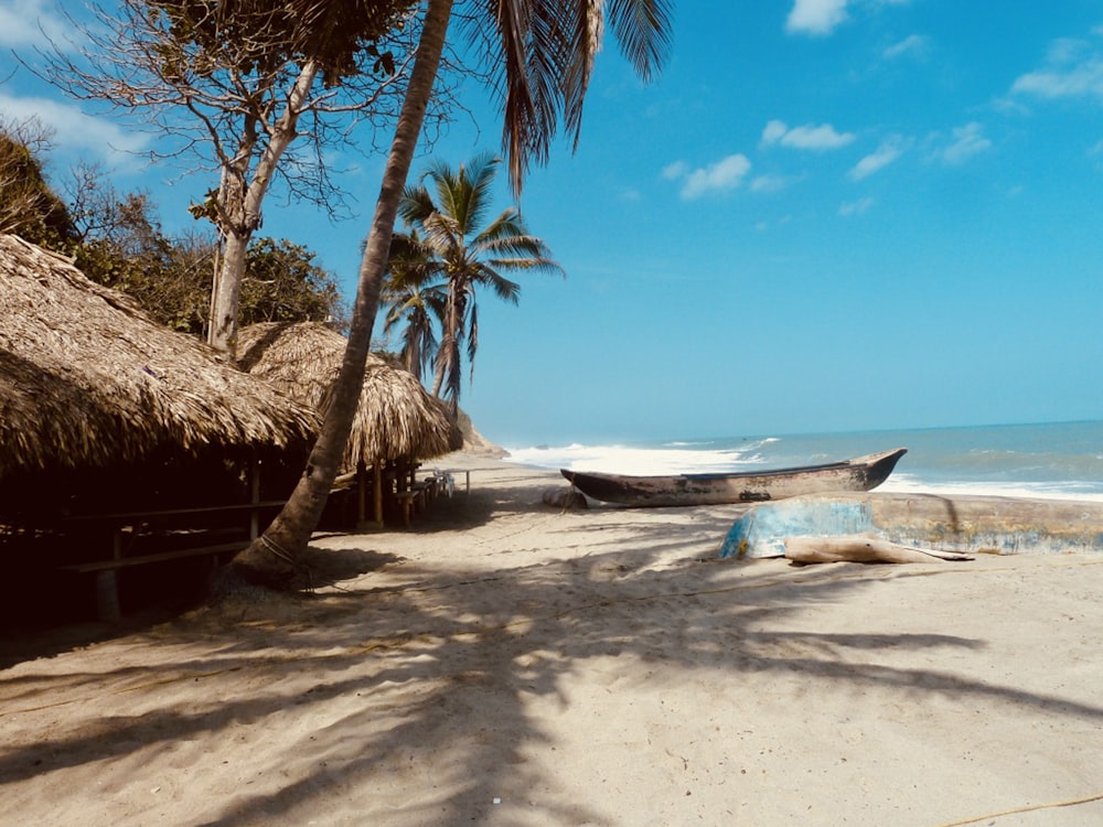 white and blue boat on beach during daytime