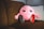 A soft, pink plush toy with a brain-like structure and a face with large eyes is sitting on a brown couch. The toy is wearing miniature sneakers, one red and one black, and there is a TV remote control lying next to it. The background includes a light-colored pillow.