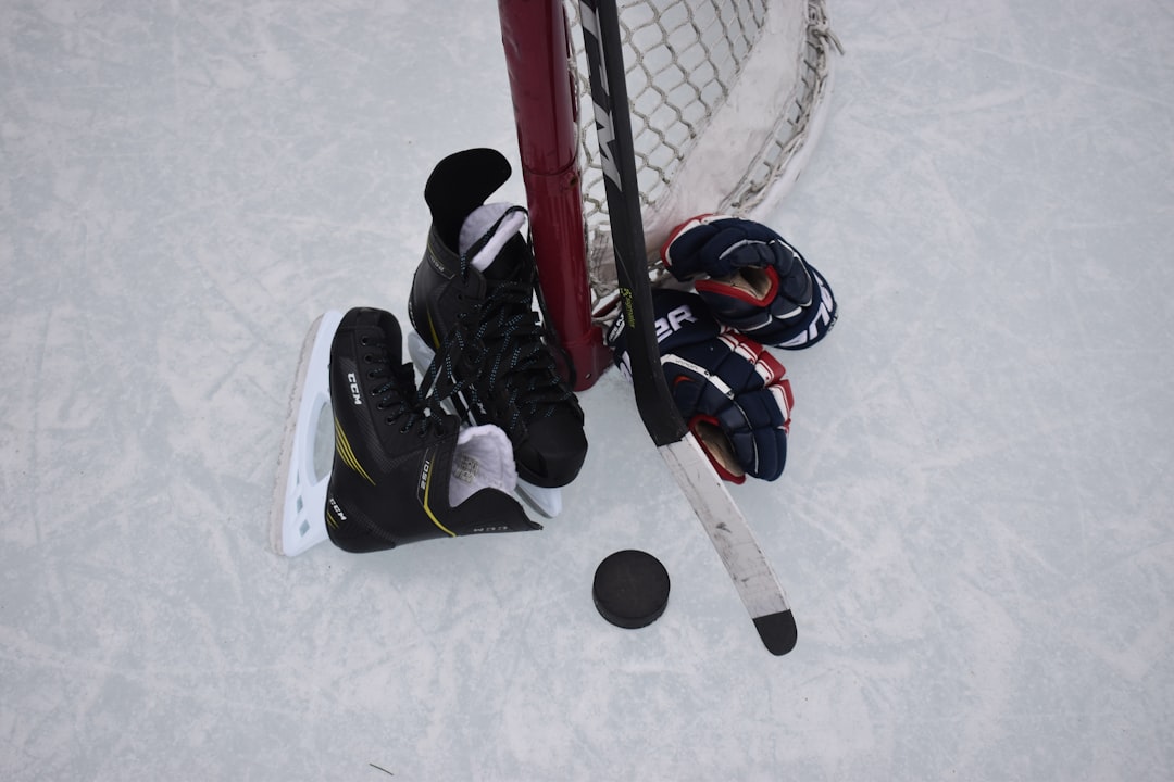 skates, puck, goal, gloves, stick