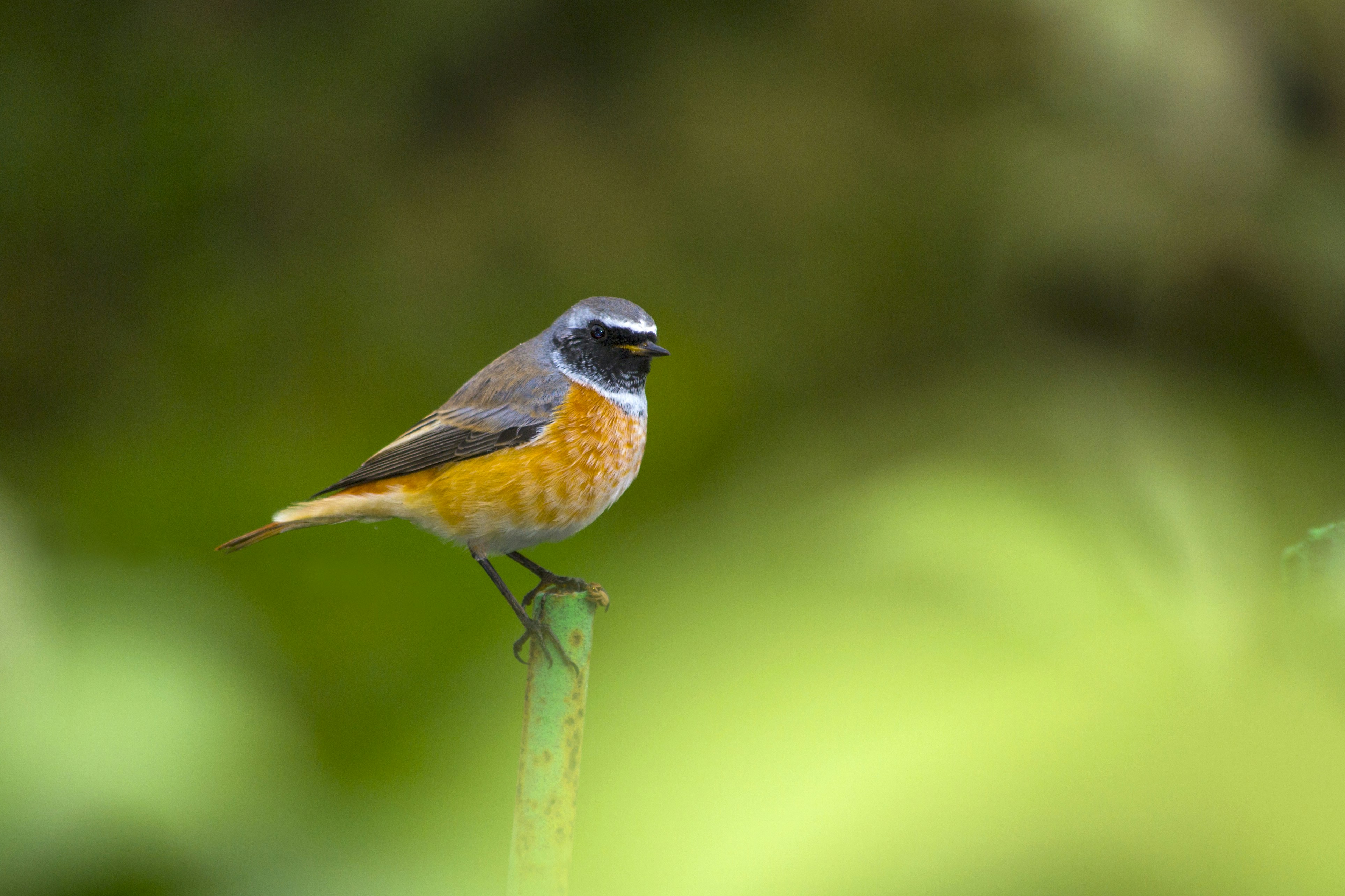 Photo by ryakhovskiy