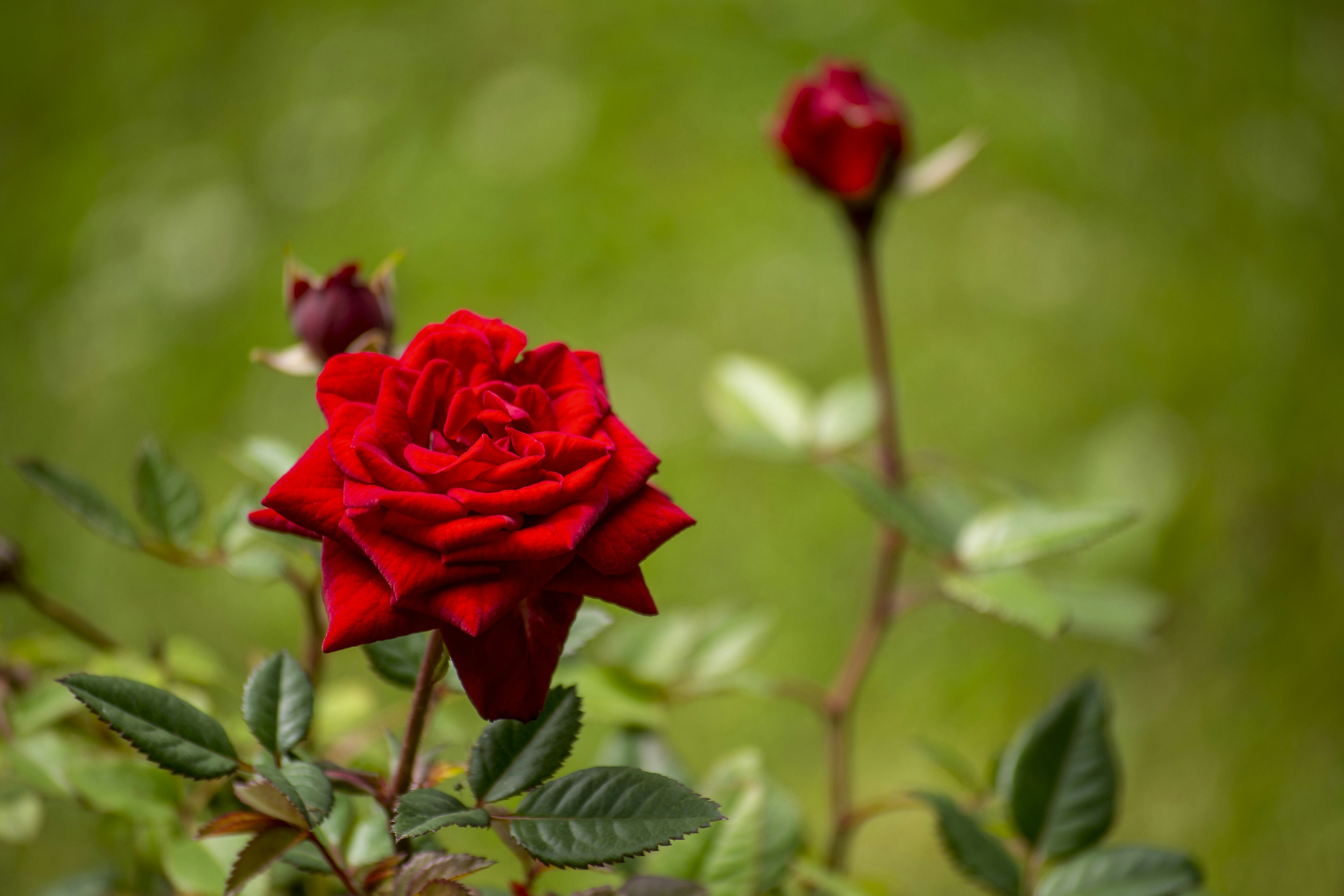 Photo by ryakhovskiy