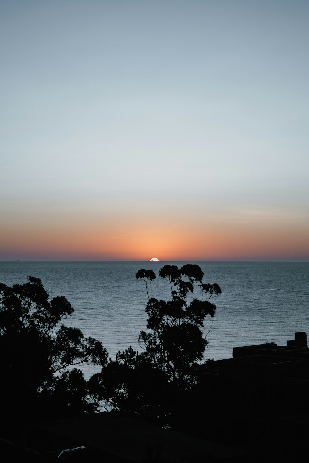 silhouette of trees near body of water during sunset