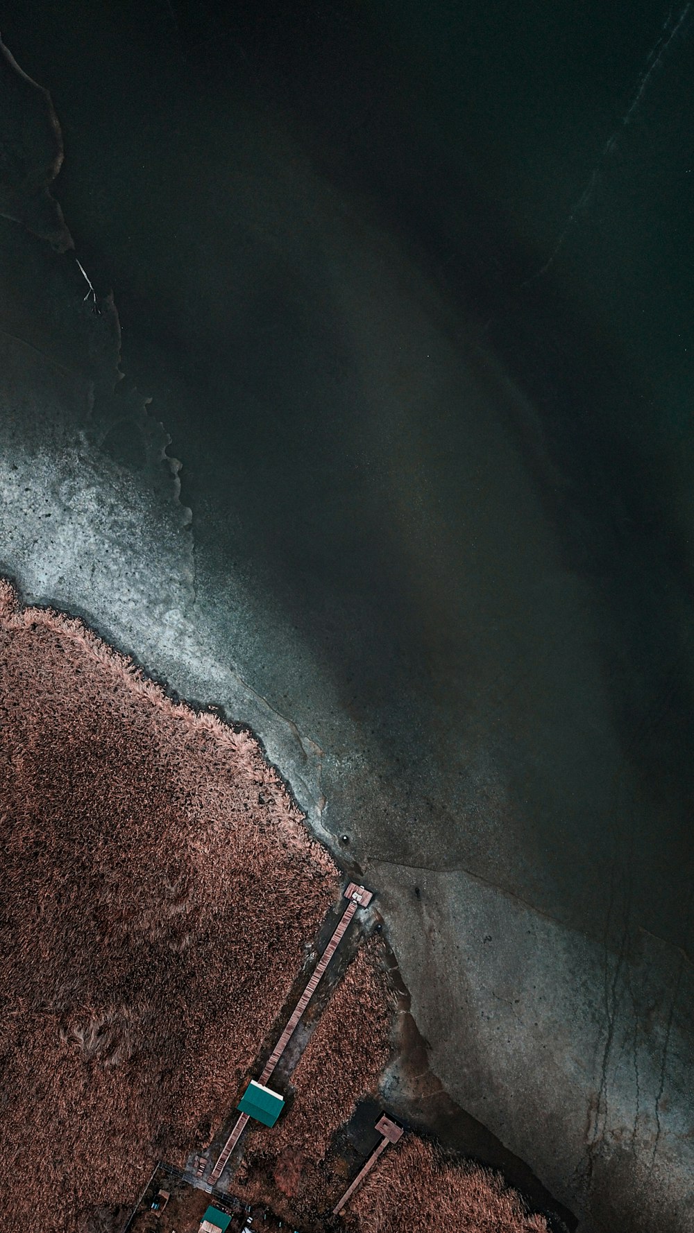 brown sand near body of water during daytime