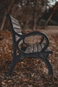 black metal bench on brown dried leaves