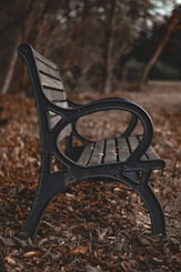 black metal bench on brown dried leaves