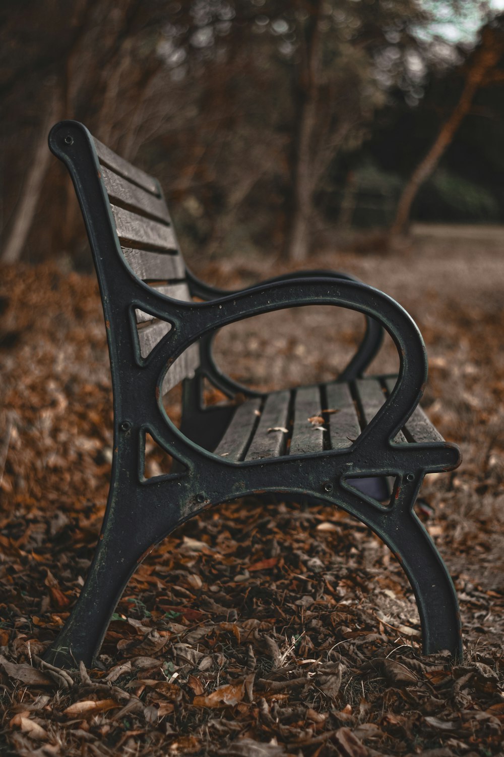 black metal bench on brown dried leaves