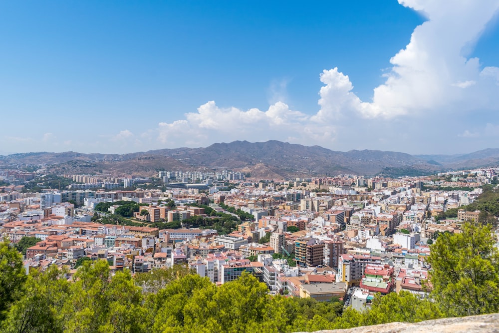 city with high rise buildings under blue sky during daytime